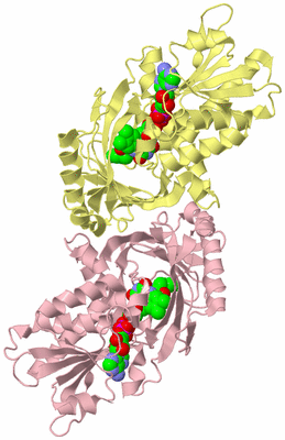 Image Biological Unit 2