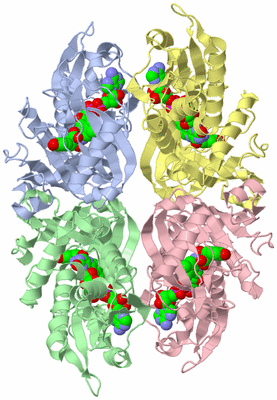 Image Biological Unit 3