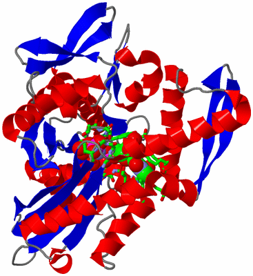 Image Asym./Biol. Unit - sites