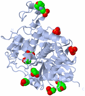 Image Biological Unit 1