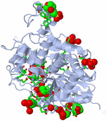 Image Biol. Unit 1 - sites