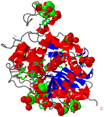 Image Asym. Unit - sites