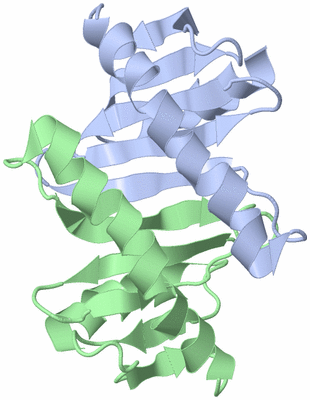 Image NMR Structure - model 1