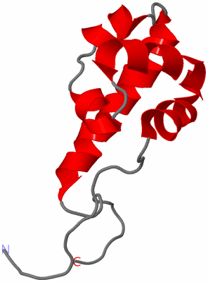 Image NMR Structure - model 1
