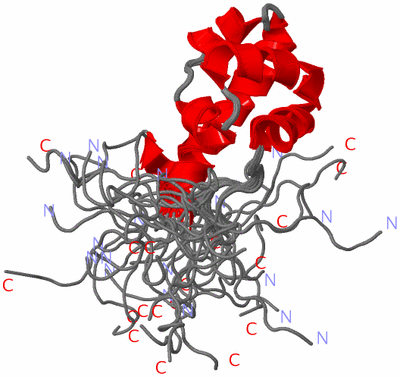 Image NMR Structure - all models