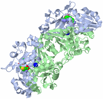 Image Biological Unit 2