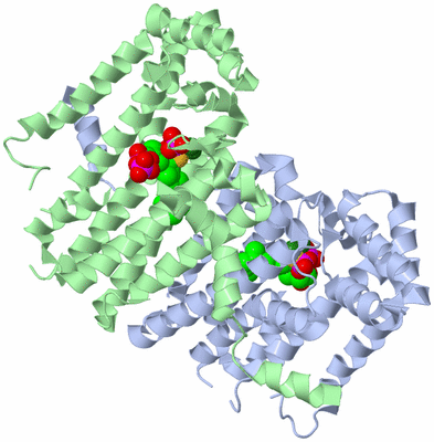 Image Asym./Biol. Unit