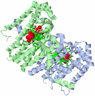 Image Asym./Biol. Unit - sites