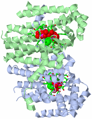 Image Asym./Biol. Unit - sites