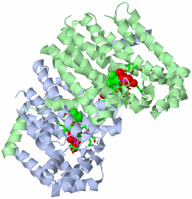 Image Asym./Biol. Unit - sites