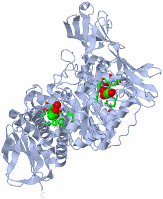 Image Biol. Unit 1 - sites