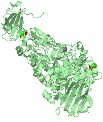 Image Biological Unit 2