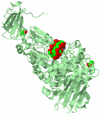 Image Biological Unit 2