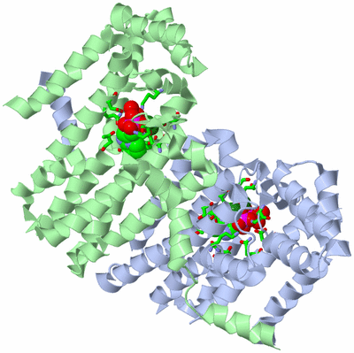 Image Asym./Biol. Unit - sites