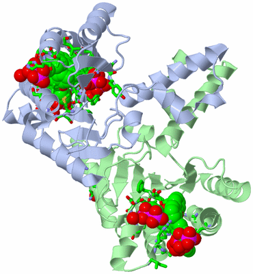 Image Asym./Biol. Unit - sites