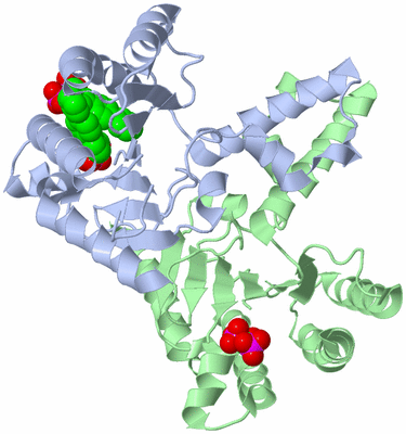 Image Asym./Biol. Unit