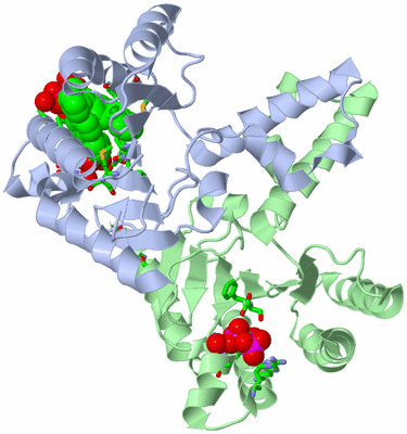 Image Asym./Biol. Unit - sites