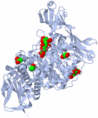 Image Biological Unit 1