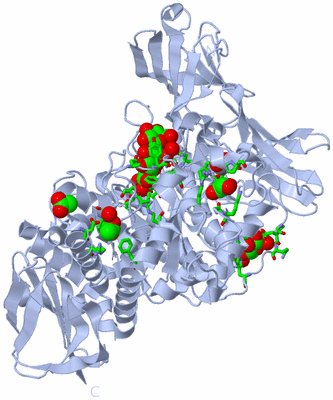 Image Biol. Unit 1 - sites