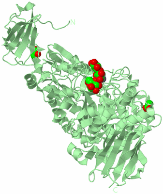 Image Biological Unit 2