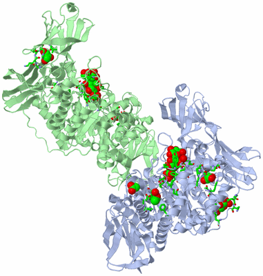 Image Asym. Unit - sites