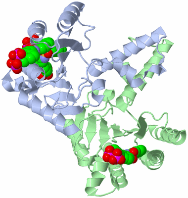 Image Asym./Biol. Unit