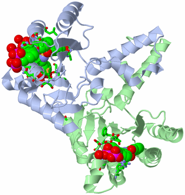 Image Asym./Biol. Unit - sites