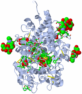 Image Biol. Unit 1 - sites