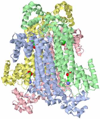 Image Asym./Biol. Unit