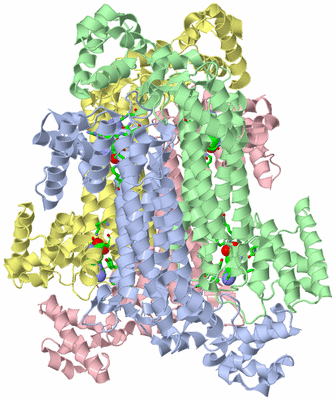 Image Asym./Biol. Unit - sites