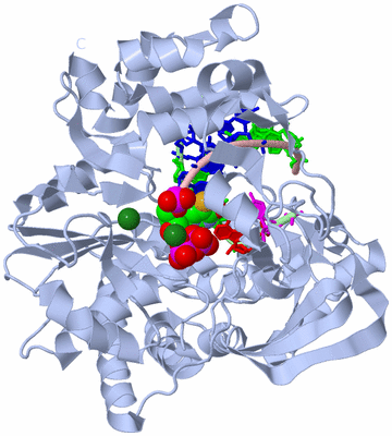 Image Biological Unit 1