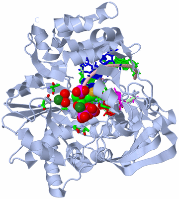 Image Biol. Unit 1 - sites