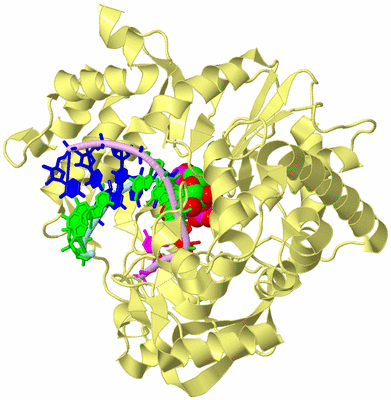 Image Biological Unit 2