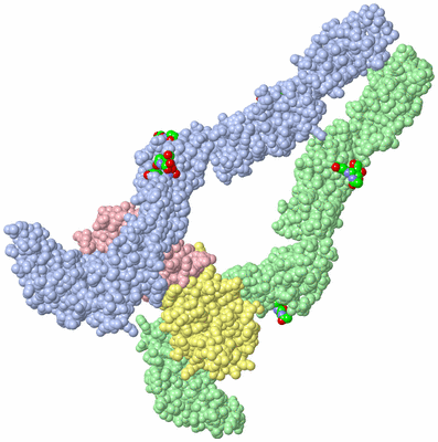 Image Asym./Biol. Unit - sites