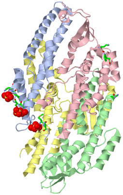 Image Biol. Unit 1 - sites