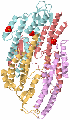 Image Biological Unit 2