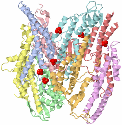 Image Biological Unit 3