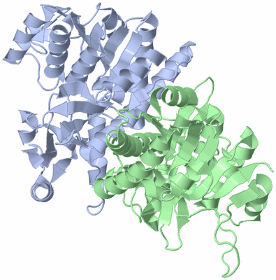 Image Asym./Biol. Unit