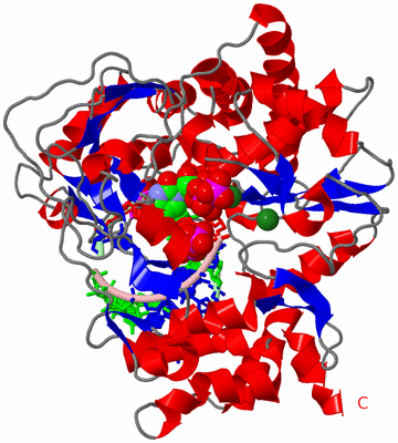 Image Asym./Biol. Unit