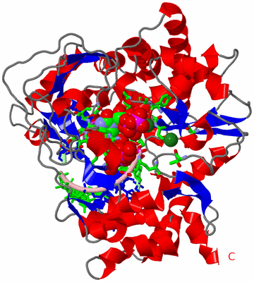 Image Asym./Biol. Unit - sites