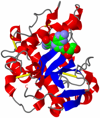 Image Asym./Biol. Unit