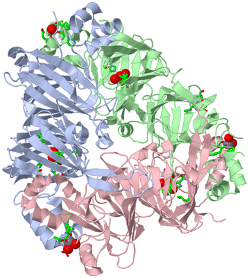 Image Asym./Biol. Unit - sites