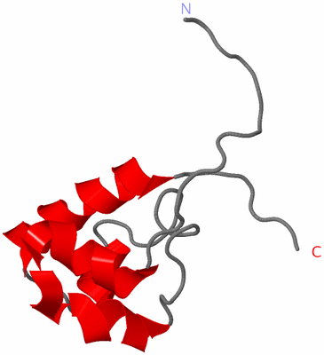 Image NMR Structure - model 1