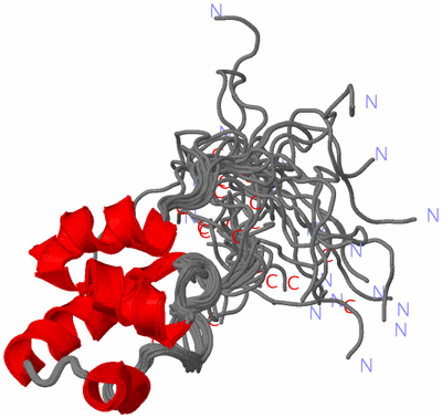 Image NMR Structure - all models