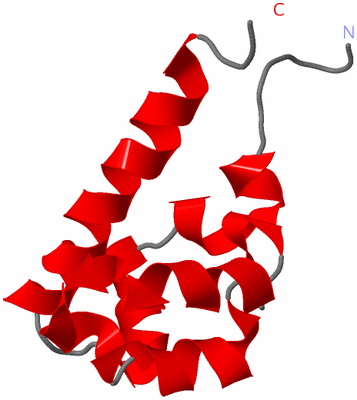 Image NMR Structure - model 1