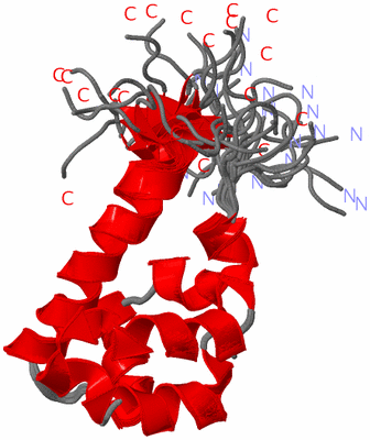 Image NMR Structure - all models