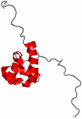 Image NMR Structure - model 1