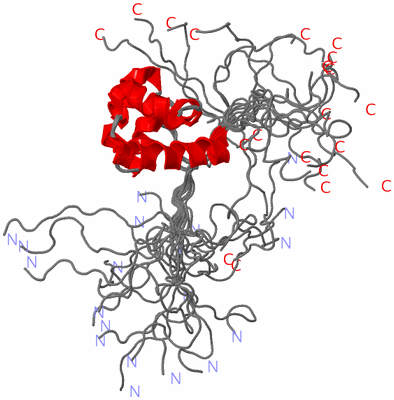 Image NMR Structure - all models