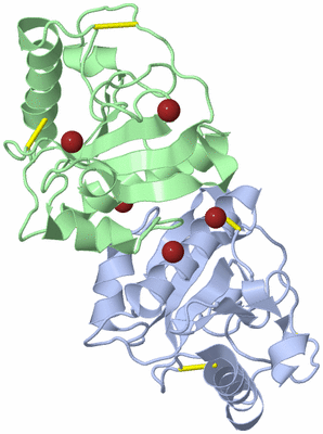 Image Asym./Biol. Unit