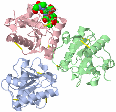 Image Asym./Biol. Unit